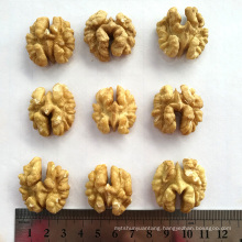 Best selling agricultural product chinese highly nutritive walnut in shell